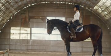 Rider mounted on a horse inside an indoor riding arena