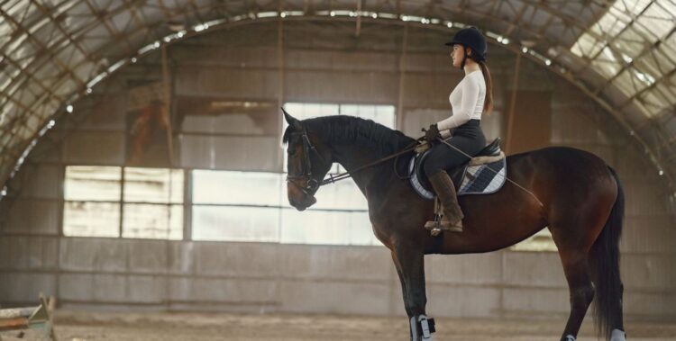 Rider mounted on a horse inside an indoor riding arena
